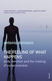 Feeling Of What Happens, The – Damasio, Antonio [PB] | 9780099288763