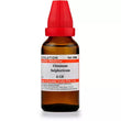 Dr. Willmar Schwabe India: Chininum Sulphuricum Homeopathic Liquid Dilution