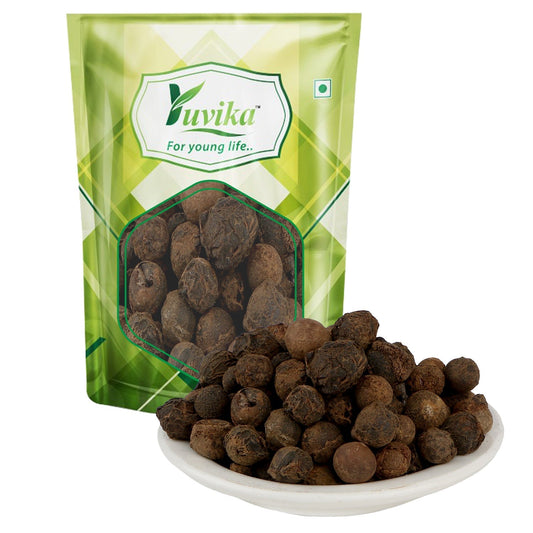 Yuvika Sugand Kokila - Cinnamomum Glaucescens - Cinnamon Berry