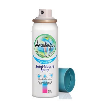 Amrutanjan Joint Muscle Spray - 30 ml