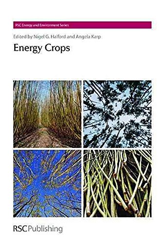 Energy Crops |9781849730327|