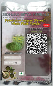 Sidhara Betta Herbals Foeniculum vulgare (Fennel) Whole Plant Powder - 15 gms