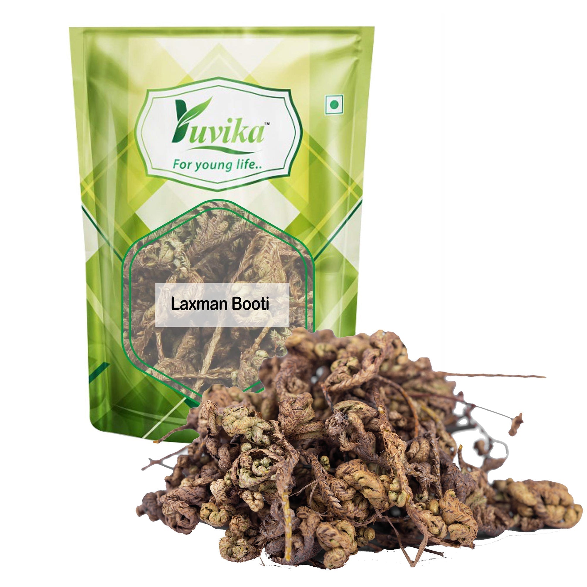 Yuvika Laxman Booti - Lakshman Booti - Selaginella Bryopteris - Guma