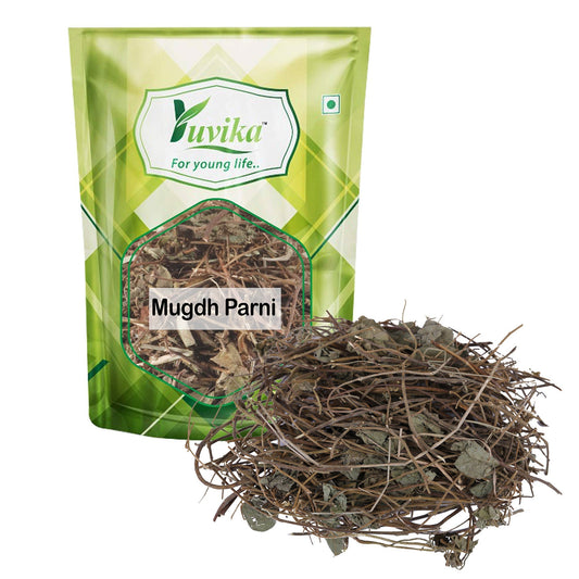 Yuvika Mugdh Parni - Mugdhparni - Mugad Parni - Phaseolus Trilobus