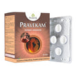 Pravek Pravekam