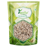 Yuvika Kahu Jeera - Kahoo Jeera - Lactuca Sativa